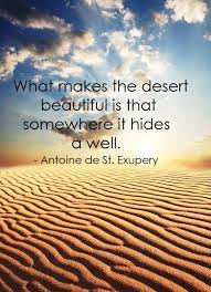 Nature Quotes What Makes The Desert Beautiful Is That Somewhere It Hides A Well Antoine De St Exupery Nature Quotes Desert Quote Outdoor Quotes