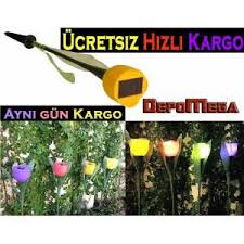 Gunes Enerjili Lale Tasarim Solar Bahce Lambasi 115931551 Bahce Laleler Tasarim