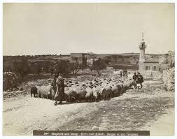 الصورة من حي الشيخ جراح في القدس credit: Ø­ÙŠ Ø§Ù„Ø´ÙŠØ® Ø¬Ø±Ø§Ø­ ÙÙŠ Ø§Ù„Ù‚Ø¯Ø³ Ù…Ø¯ÙˆÙ†Ø© ÙÙ„Ø³Ø·ÙŠÙ† Palestine Blog