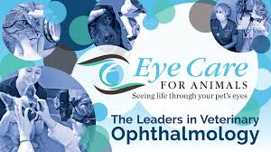 Feulner, and the entire advanced eye care team is dedicated to providing patients the highest level of comprehensive eye care in a professional, compassionate, and caring manner. Eye Care For Animals 722 Baltimore Pike Bel Air Md 21014 Usa