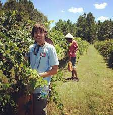 WWOOF - Hospedagem gratuita em fazendas orgânicas ao redor do mundo - Consumo Colaborativo Brasil | Economia Compartilhada