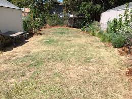 This Flat Yard Of Weeds Is What We Started With The Plants Around The Perimeter Were Not There When We B Diy Backyard Patio Outdoor Seating Areas Patio Design