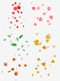 Floating Petal Leaves Set Illustration Hand Drawn And Petals Floating Petals Leaves Hand Painted Leaves Hand Drawn Falling Flowers Png Transparent Clipart Im How To Draw Hands Painted Leaves Flower Drawing By downloading yellow leaf transparent png you agree with our terms of use. floating petal leaves set illustration