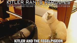 Kitler And The Fegelpigeon Parody Feline My Favorite Things