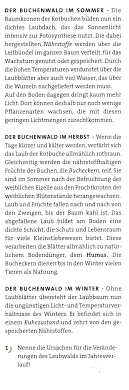 Er ging in seine töpferstube , in der er sonst krüge und schalen herstellte. Https Www Gsgvelbert De Wp Content Uploads 2020 05 Ab 6a Pdf