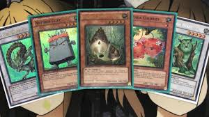 They xyz, synchro and otk consistently, which is naturia's main problem: My Naturia Yugioh Deck Profile For November 2018 Youtube