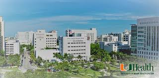 When visiting miami, most people sit in the sun, party all night at the hottest clubs and shop. The University Of Miami Announces The Uhealth Board Of Directors Inventum University Of Miami Miller School Of Medicine