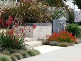 Roll Out The Red Carpet For A Garden That S A Smash Hit Native Garden Front Yard Landscaping Design Modern Landscaping