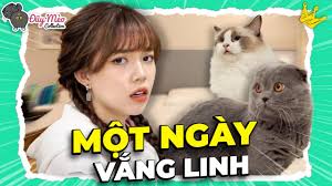 Cô nàng từng gây sốt khi mua nhà tiền tỷ cho bố mẹ ở tuổi 22. 01 Ngay Khong Co Linh Cá»§a Máº¥y Ä'uá»¹ Meo Thanh Tinh Ä'uá»¹ Meo Collection 7 Youtube