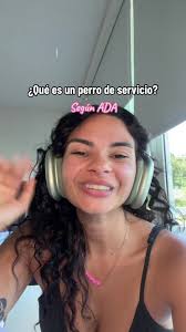 Definición de Perro de Servicio en Puerto Rico