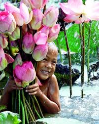 Lotus Baby Thailand Repin Via Milagrosmundo Inspire Belief Enjoy Beautiful World Flowers Beautiful Smile