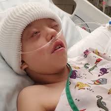 Fundraiser for Dawn Cisewski by Becci Jackson : Madeline Cisewski