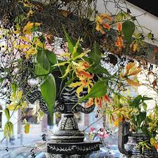 Check spelling or type a new query. Lihp On Instagram Gloriosa Lilies In New Works From Artist Mark Gagnon For Emily Thompson Flowers On Display In Our Shop Windows Emilythompsonflowe Blomster