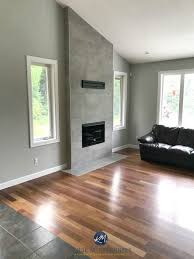 Benjamin Moore Gray Owl Vs Stonington Gray Comparing Undertones And More Grey Wood Floors Living Room Tiles Grey Wood Tile
