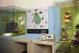 Check spelling or type a new query. Ufo Lighting Cabinet Lighting Kits For Retail Museum And Gallery Displays