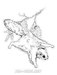 Dogs love to chew on bones, run and fetch balls, and find more time to play! Squirrel Kids Time Fun Places To Visit And Free Coloring Book Pages Printables