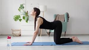 The cat cow pose is often considered a neutral position in yoga but lately i have been offering my integrate with the breath and you have yourself quite the little yoga pose. Kwgj8yjsfe3mpm