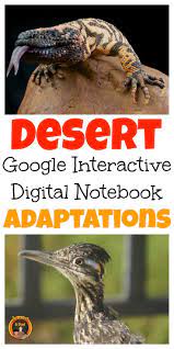 Desert Animal Adaptations Interactive Notebook For Google Distance Learning Desert Animals Adaptations Animal Adaptations Desert Animals