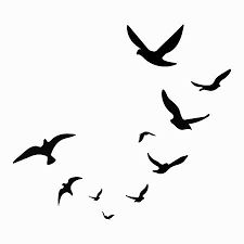 Bird In Flight Silhouette Clip Art Silhouette Of A Flock Of Birds Black Contours Of Flying Birds Flying Bird Silhouette Birds Flying Bird Silhouette