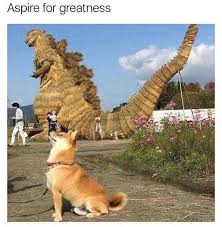 Aspire For Greatness Funny Animal Pictures Funny Animals Cute Funny Animals