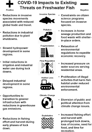 There will be restricted overnight train services. A Global Perspective On The Influence Of The Covid 19 Pandemic On Freshwater Fish Biodiversity Sciencedirect