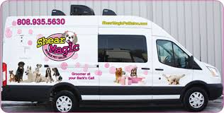 Our pet grooming services are done by a trained, caring, pet loving professional who take pride in their work. Full Service Pet Salon Grooming Services Hilo Hi