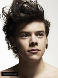 Harry Styles (One Direction) phủ nhận tin đồn "ăn mảnh"
