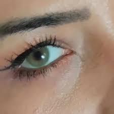 En Dogal Lens Denince Akla Solotica Gelir Hidrocor Haresiz Mel Videomuz Sizlerle Siparisi Icin Dm Yada Whatsapp Ext Solotica Lenses Dark Brown Eyes Color