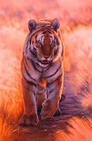 Non fare shopping durante il periodo natalizio è praticamente impossibile :p e voi? Original Tiger Painting Large Wild Nature Art Realism Tiger Etsy In 2020 Tiger Painting Photo Canvas Art Lion Artwork