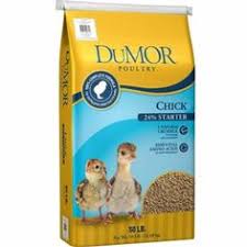 We did not find results for: 32 Chicken Food Ideas Poultry Feed Chicken Feed Poultry