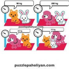 2x nm 2y n2m 172x 344y. Picture Puzzle And Riddles With Answers Best Puzzle Paheliyan