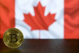 Buying bitcoin in canada could be done in various ways: How To Buy Bitcoin And Other Crypto From Canada Midnight Ravings