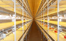 Good modern house architecture designs. Tianrui China Chicken Cage Automatic Design Manufacturer Supplier Factory