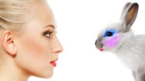 But another law regulating chemicals was introduced in 2007, . Switzerland Joins Fight On Animal Cruelty With Ban On Animal Tested Cosmetics Global Cosmetics News