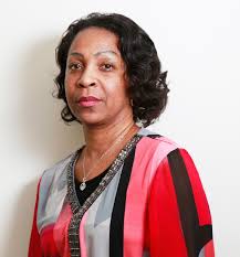 Beyond the Bars Fellows 2015-2016