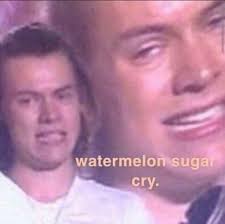 Watermelon Sugar Cry Harry Styles Harry Styles Funny One Direction Memes Harry Styles Memes