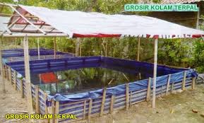 Masukkan terpal ke dalam rangka besi; Gambar Kolam Ikan Terpal Tentang Kolam Kandang Ternak