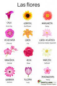 Las Flores Learning Spanish Spanish Vocabulary Spanish Learning Activities