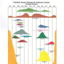 Pollen Chart Yelp