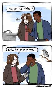 Cap regresa en falcon y winter soldier y más! 15 Funny Winter Soldier And Falcon Memes Animated Times