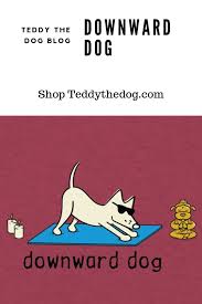 Oooommmm International Day Of Yoga Dog Blog Dog Shop Dogs