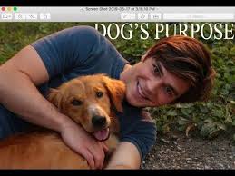 Pin By Mariya Cvetanova On A Dogs Purpose In 2020 A Dogs Purpose Dogs A Dog S Journey
