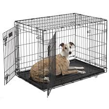 Midwest Icrate Double Door Folding Dog Crate 36 L X 23 W X 25 H Petco