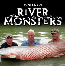 The resort holds 16 attainable world records here at gillhams fishing resorts we welcome all anglers who would like the opportunity to fish for monster fish, we cater for couples, families, single. Fishing In Thailand Gillhams Fishing Resorts Fish Thailand Resort