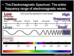 This Is An 800 Slide Powerpoint Presentation With Built In Class Notes Red Slides Challenge Quest Electromagnetic Spectrum Environment Lessons Biology Units