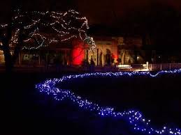Brookfield Zoo Lights Chicago Il 2013 Brookfield Zoo S Gigantic Led Peacock Withlights Set To Music Brookfield Zoo Zoo Lights Brookfield