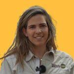 Great Wildebeest Migration