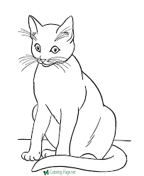 Smiling mother tiger with her little cute baby tiger in the forest. Cat Coloring Pages