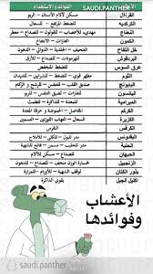 Mon Tableau Health Facts Health Fitness Nutrition Health And Nutrition