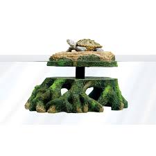 Learn proper box turtle care and box turtle information on eastern box turtle for sale baby box turtles for sale, 3 toed box turtle, ornate box turtles sale. Zilla Floating Basking Turtle Trunk 12 25 L Large Petco